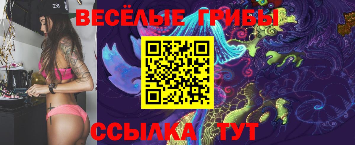 Галлюциногенные грибы прущие грибы  Вход с VPN  что такое   Касимов 